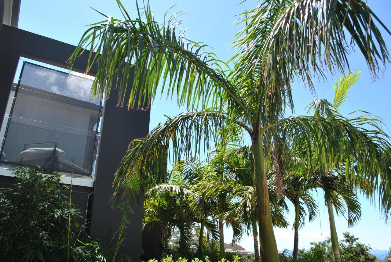 Reve De Saint Barth - Vue Mer - Piscine Chauffee & Jacuzzi Gustavia Exterior photo